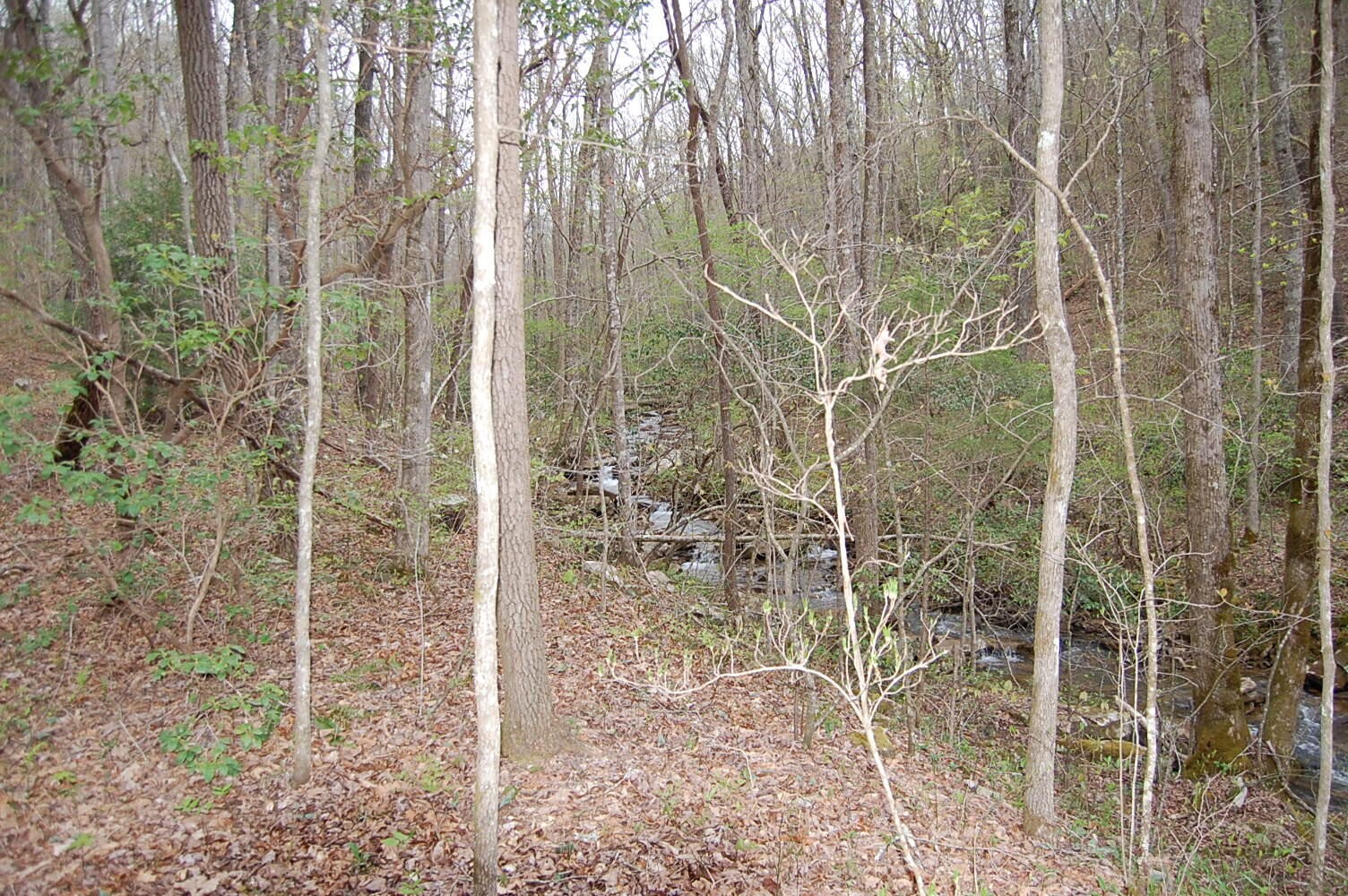 11 Flat Mountain Road Dunlap, TN 37327 - Photo 21 of 24 Gallery Image 21