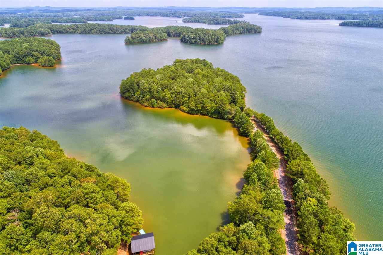 Lot # Jackson Trail, Unit 15 Lineville, AL 36266 - Photo 1 of 17