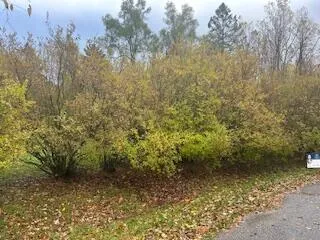 $29,900 | V/l South Sycamore Circle, Burton, MI 48509