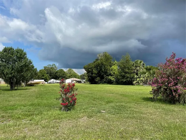 a view of a garden with a pathway