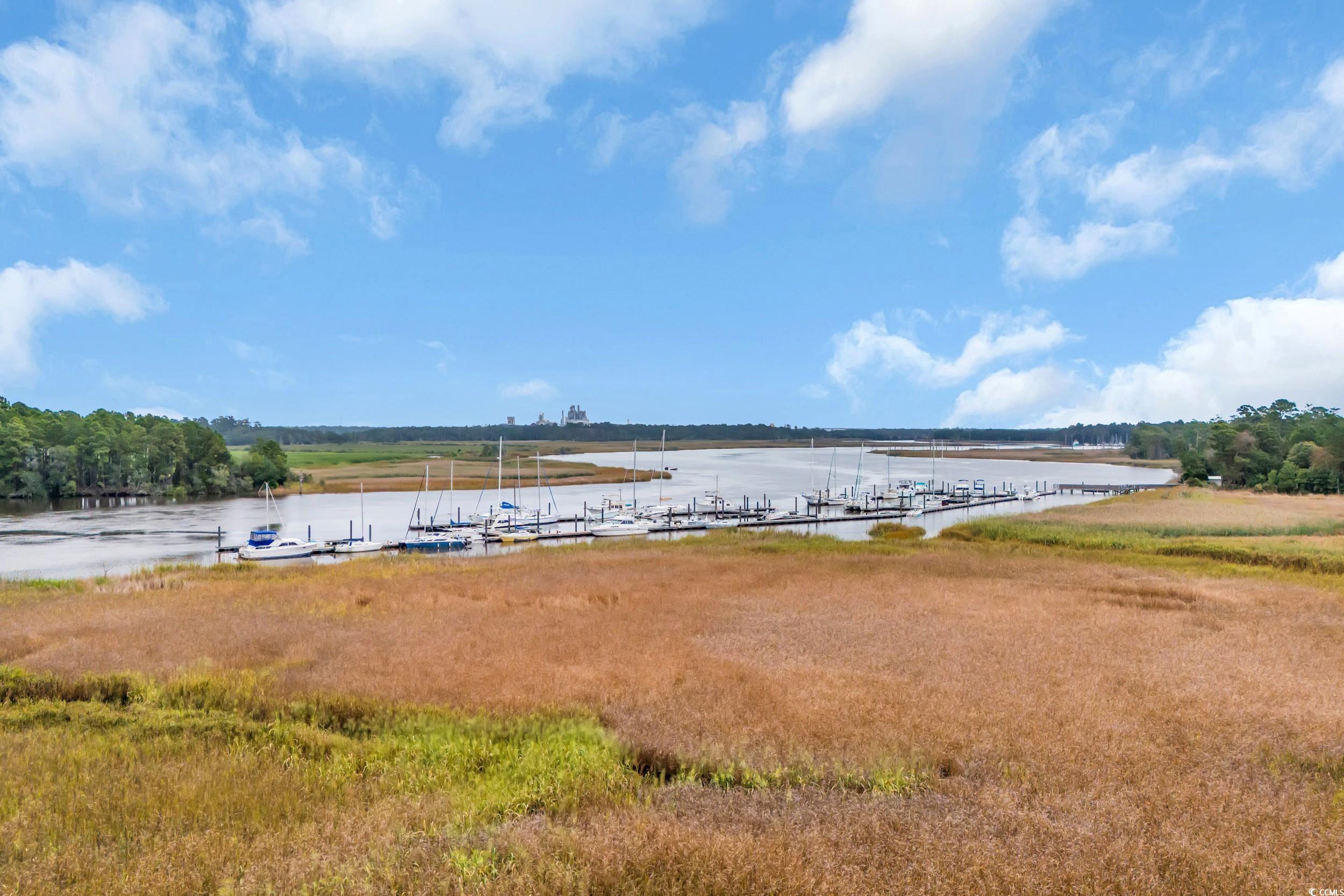 255 Madison Drive Georgetown, SC 29440 - Photo 23 of 34