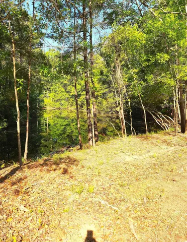 $675,000 | 255 Madison Drive, Georgetown, SC 29440