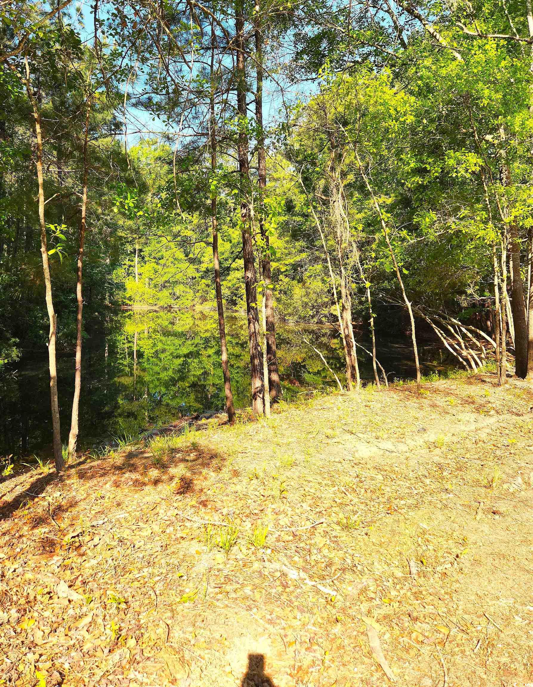 255 Madison Drive Georgetown, SC 29440 - Photo 34 of 34