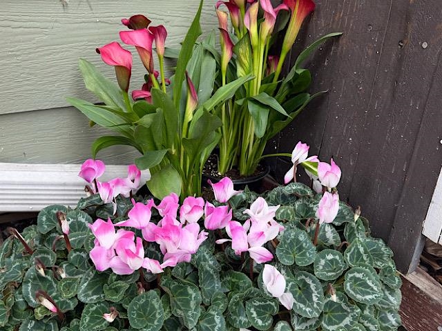 4706 San Pablo Dam Road El Sobrante, CA 94803 - Photo 3 of 49