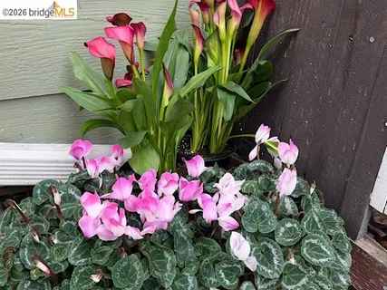 $499,000 | 4706 San Pablo Dam Road, El Sobrante, CA 94803