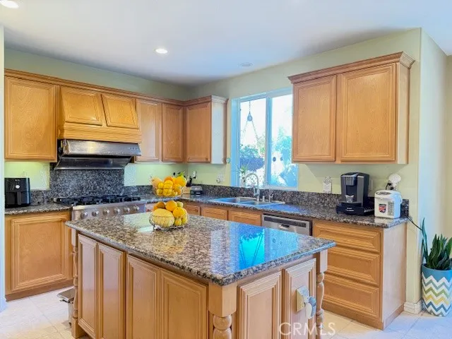 a kitchen with stainless steel appliances granite countertop a sink a stove and a cabinets
