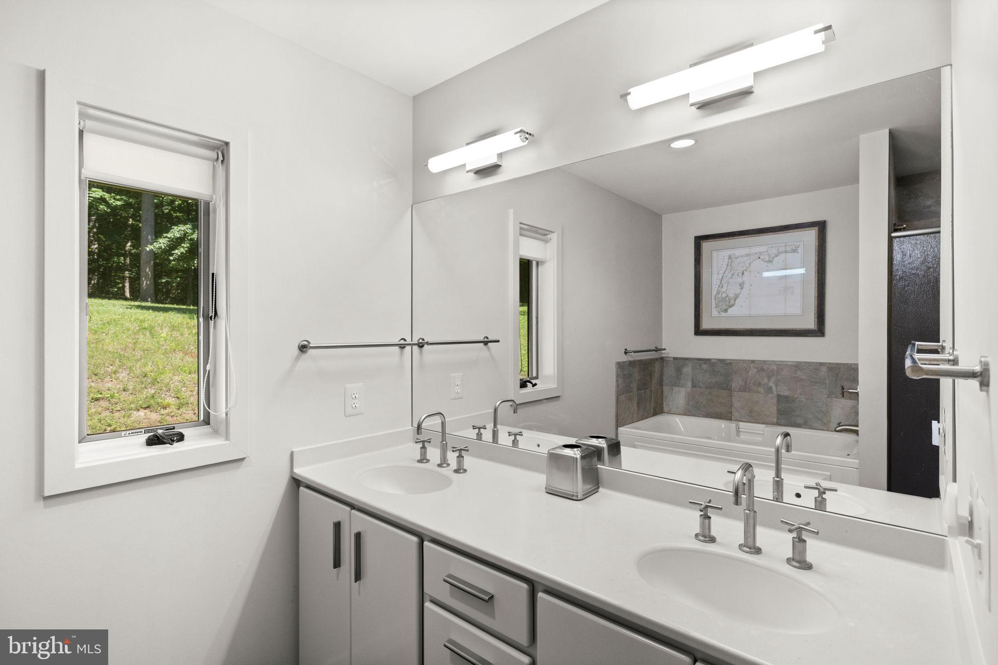 1319 Champe Plain Road Etlan, VA 22719 - Photo 28 of 63 Primary Bathroom