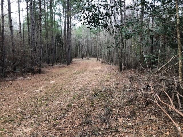 25-ac Gantt Road Andalusia, AL 36421 - Photo 22 of 36 Gallery Image 22