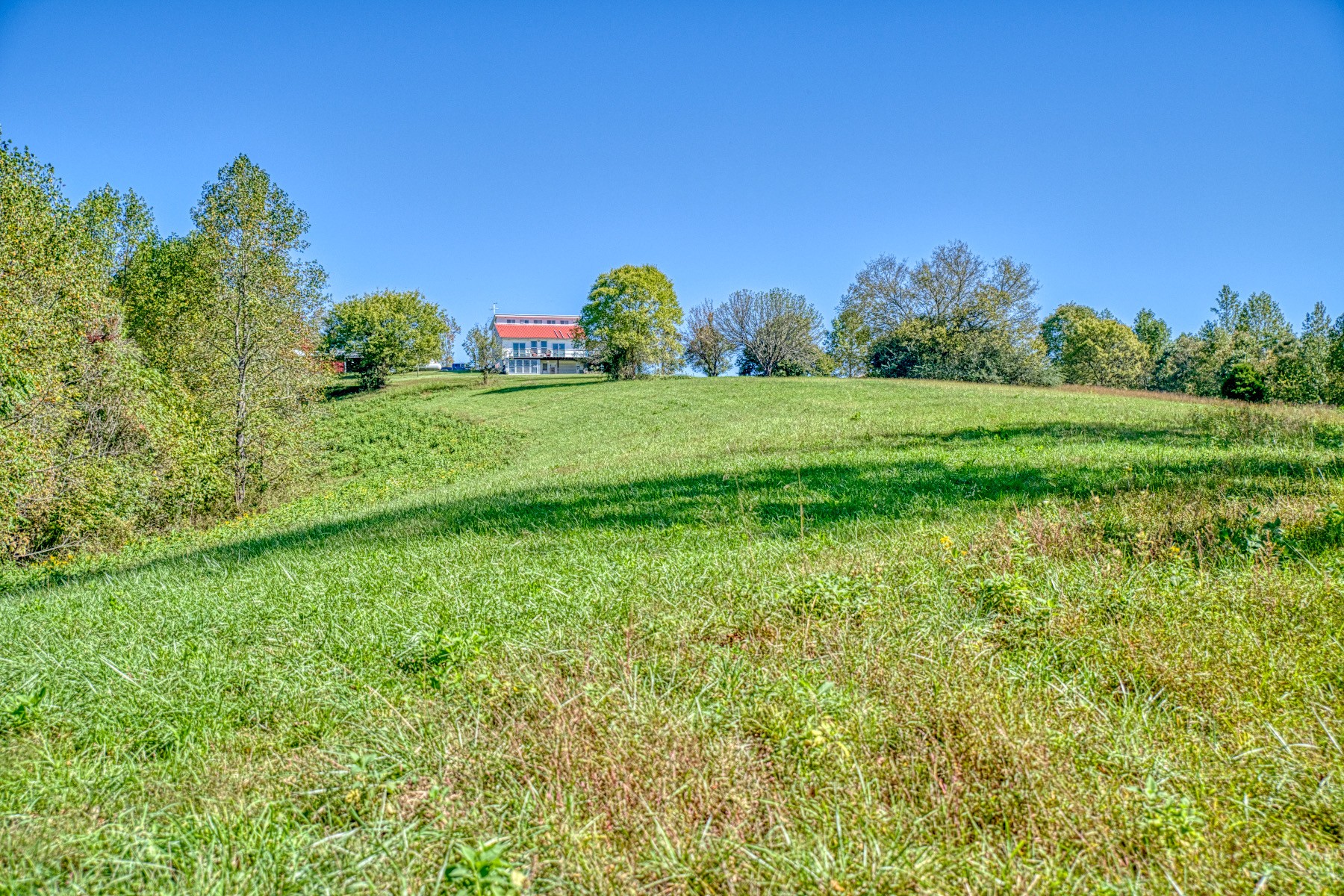 655 Dyer Cemetery Road Bloomington Springs, TN 38545 - Photo 15 of 70 Gallery Image 15