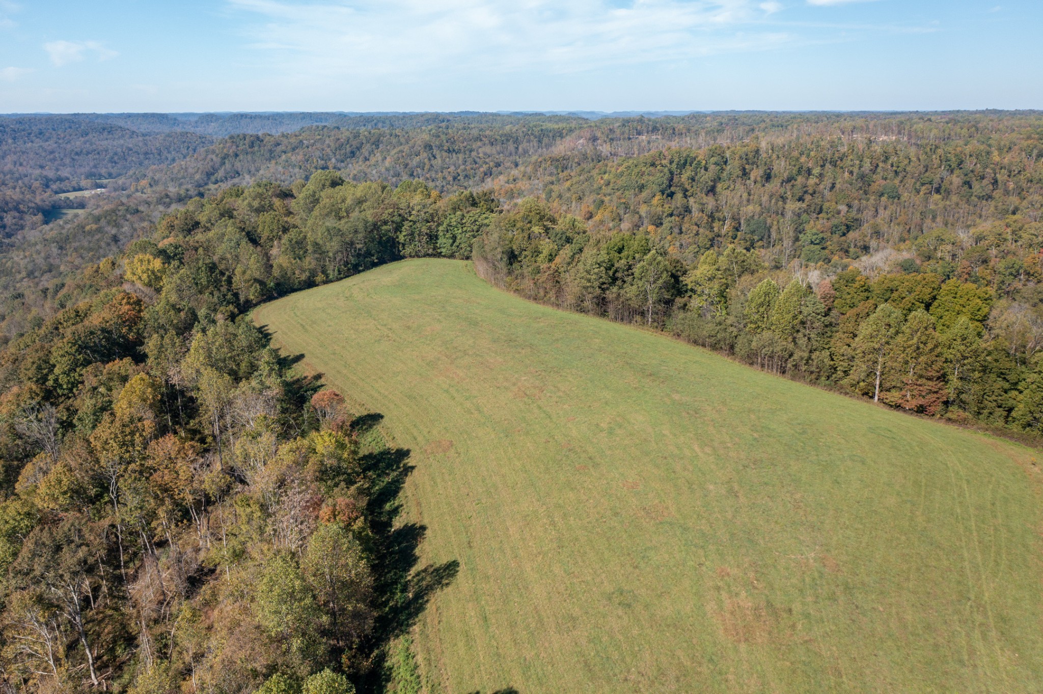 655 Dyer Cemetery Road Bloomington Springs, TN 38545 - Photo 5 of 70 Gallery Image 5