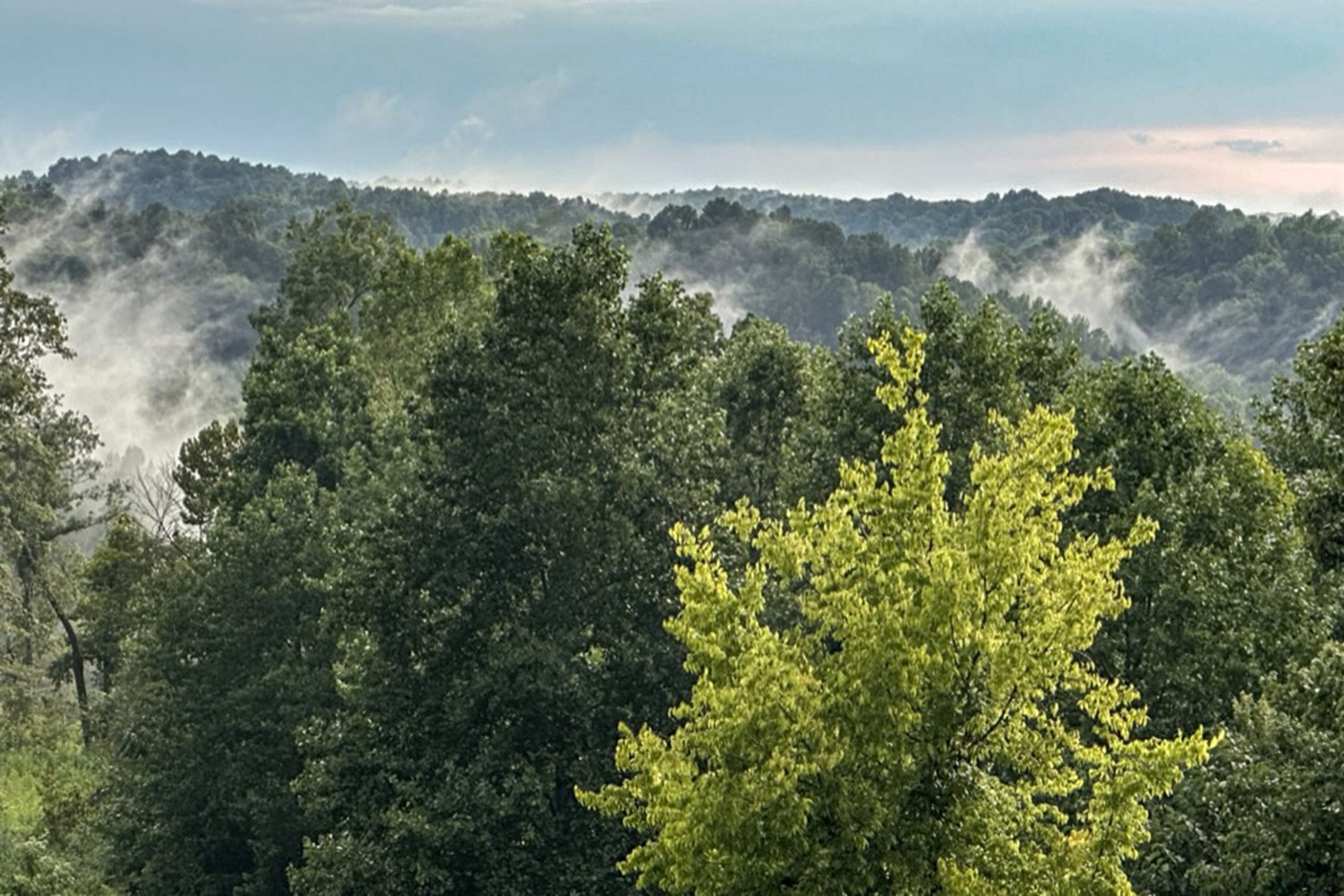 655 Dyer Cemetery Road Bloomington Springs, TN 38545 - Photo 70 of 70 Gallery Image 70