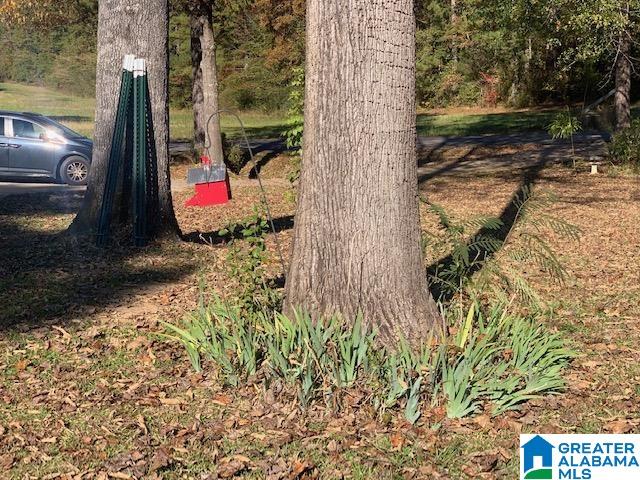 9376 Old Toadvine Road Bessemer, AL 35023 - Photo 32 of 45