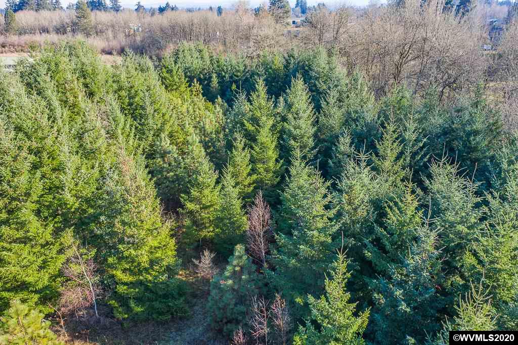 Cordon (parcel 3) Road Salem, OR 97317 - Photo 8 of 18
