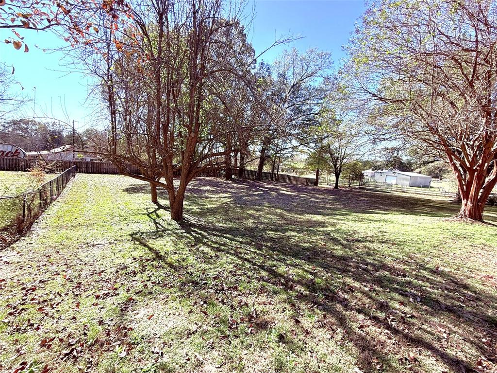 12098 Squirrel Road Pittsburg, TX 75686 - Photo 32 of 37 a view of yard with tree