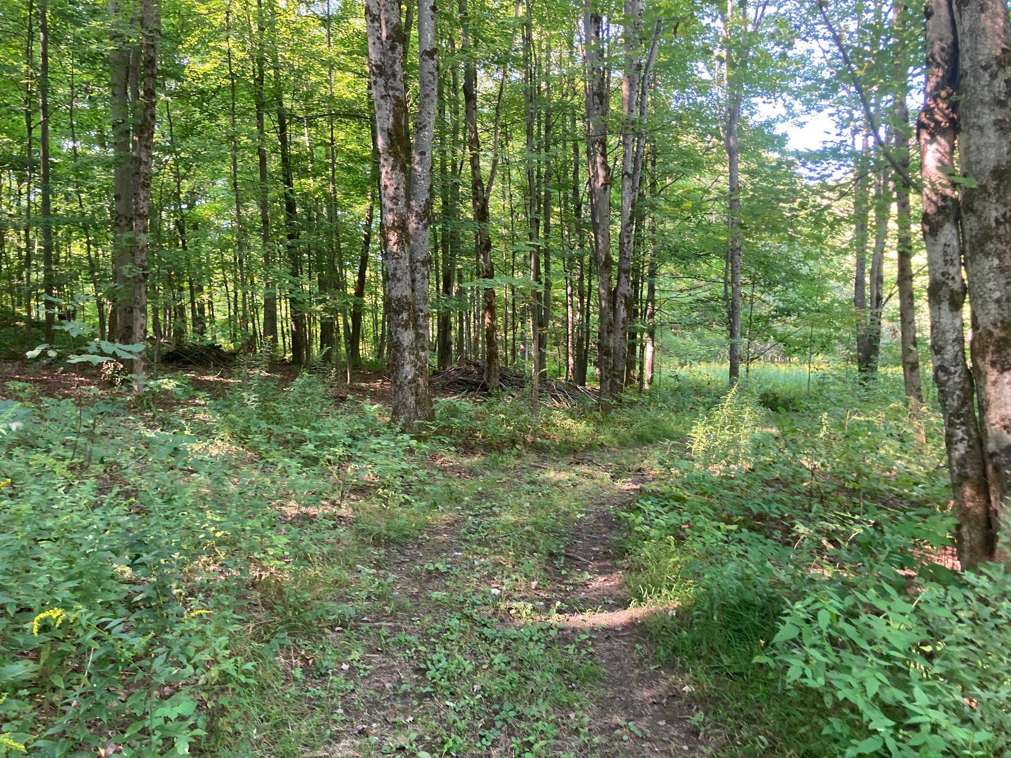 40 Wiggins Road Fairfax, VT 05454 - Photo 3 of 16