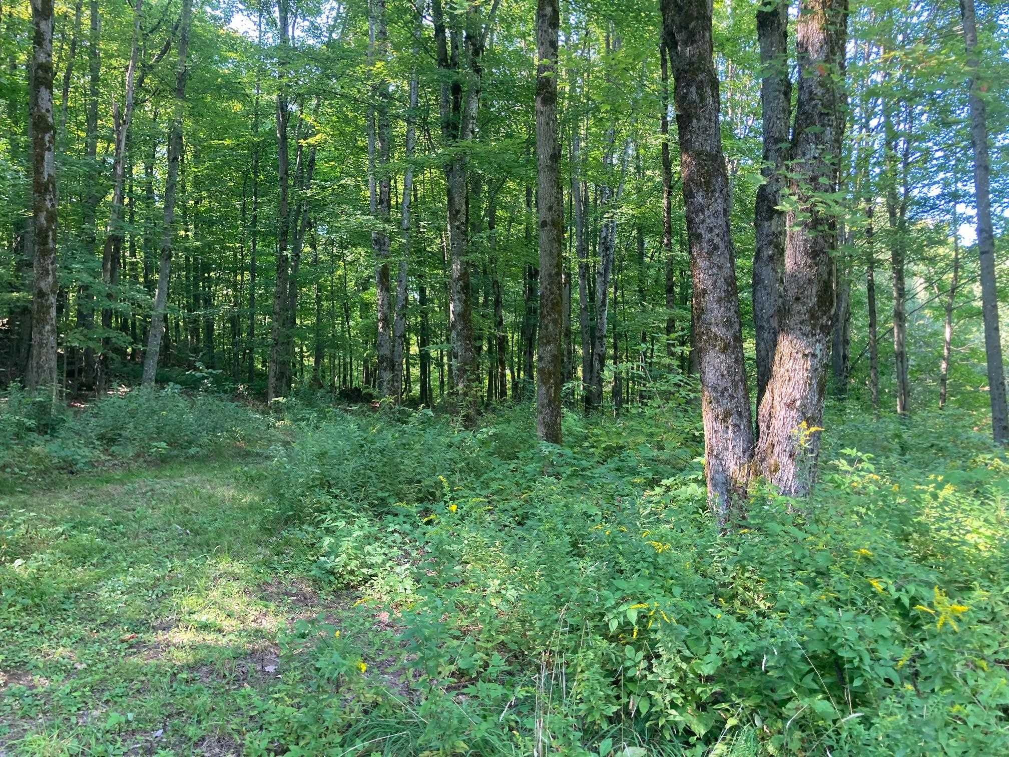 40 Wiggins Road Fairfax, VT 05454 - Photo 8 of 16