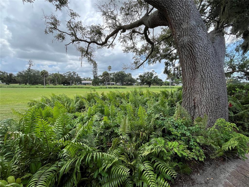 3337 Springmill Circle Sarasota, FL 34239 - Photo 33 of 51 Gallery Image 33