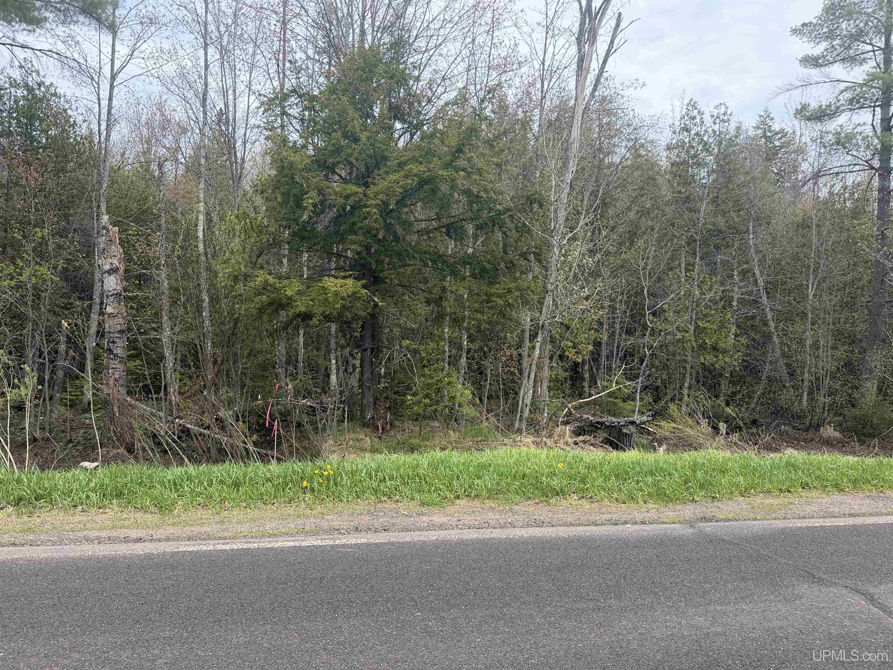 Tbd Lake Road Ironwood, MI 49938 - Photo 4 of 31