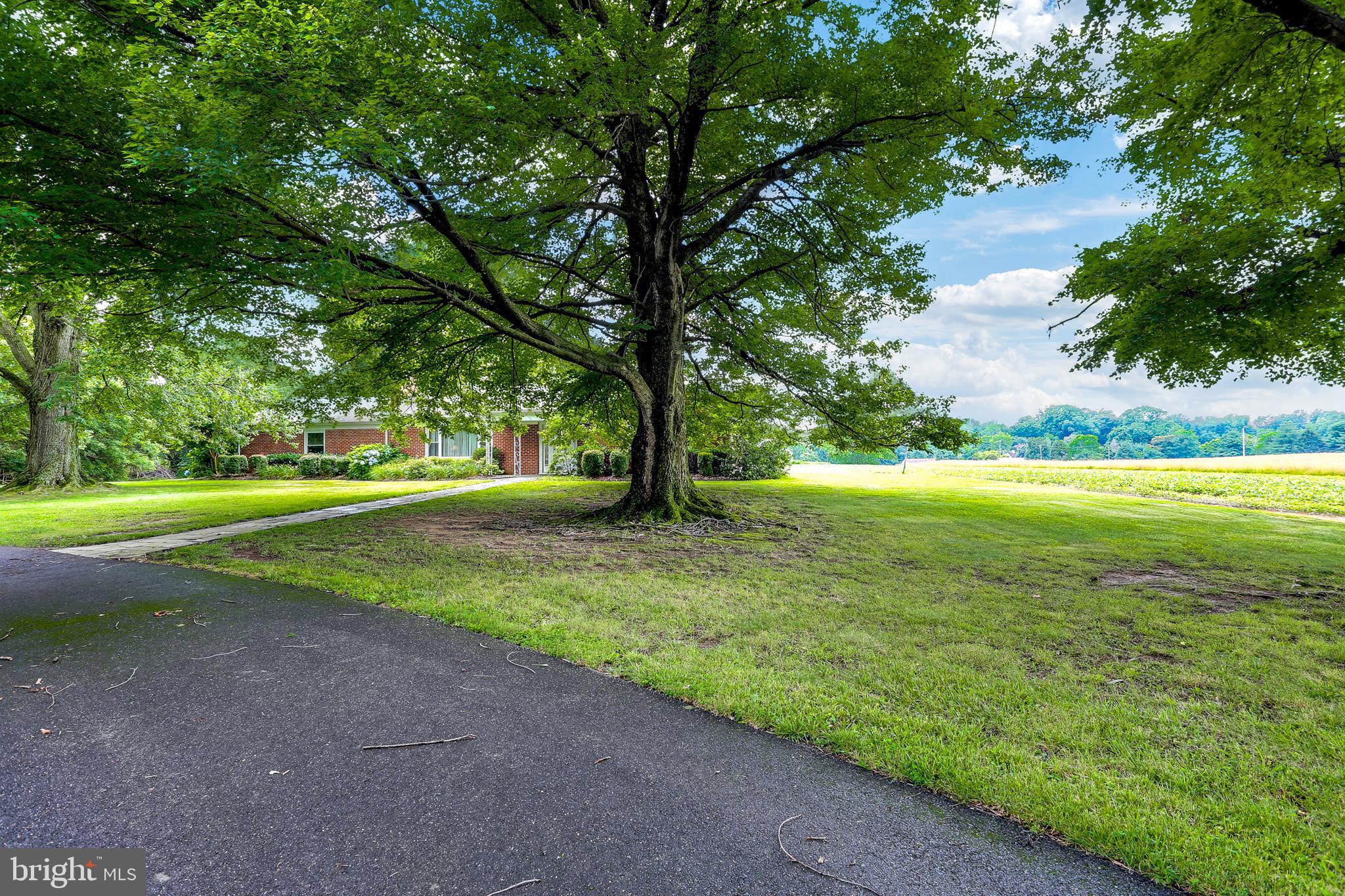 4930 Solomons Island Road Harwood, MD 20776 - Photo 24 of 31 Lots of shade trees