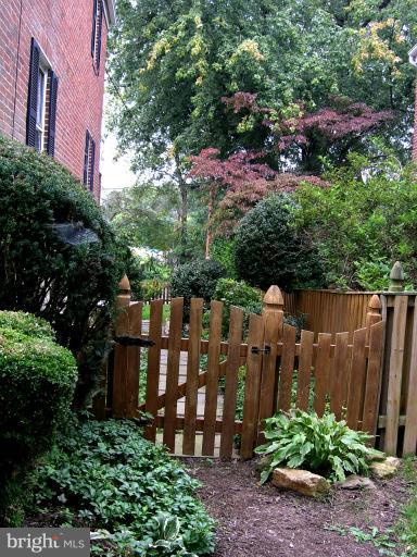 190 Stanmore Road Baltimore, MD 21212 - Photo 8 of 15 a view of a backyard with plants and large trees