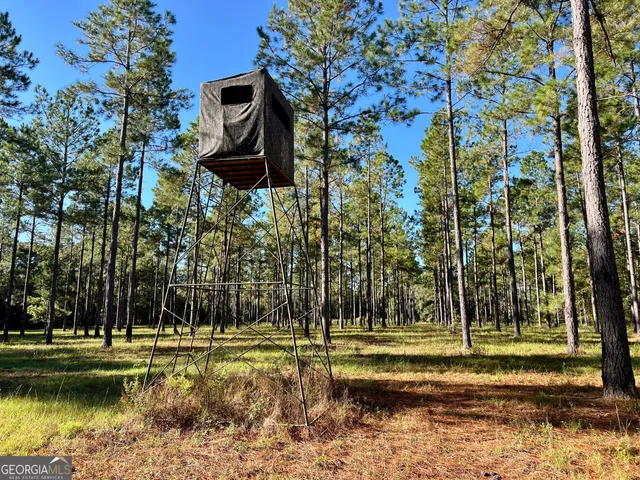 $690,000 | 0 Lower River Road, Eastman, GA 31023