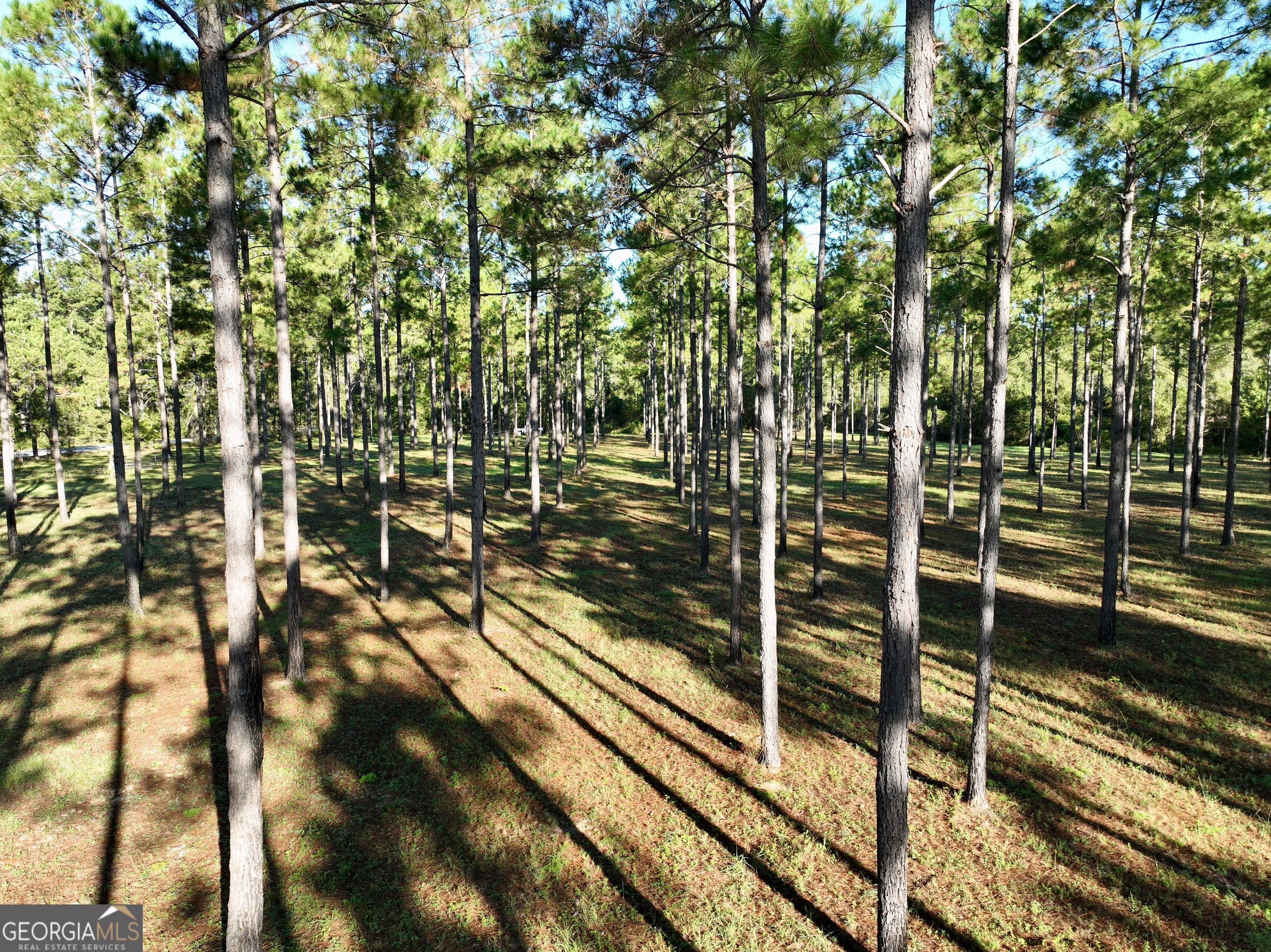 0 Lower River Road Eastman, GA 31023 - Photo 13 of 56 a view of a yard