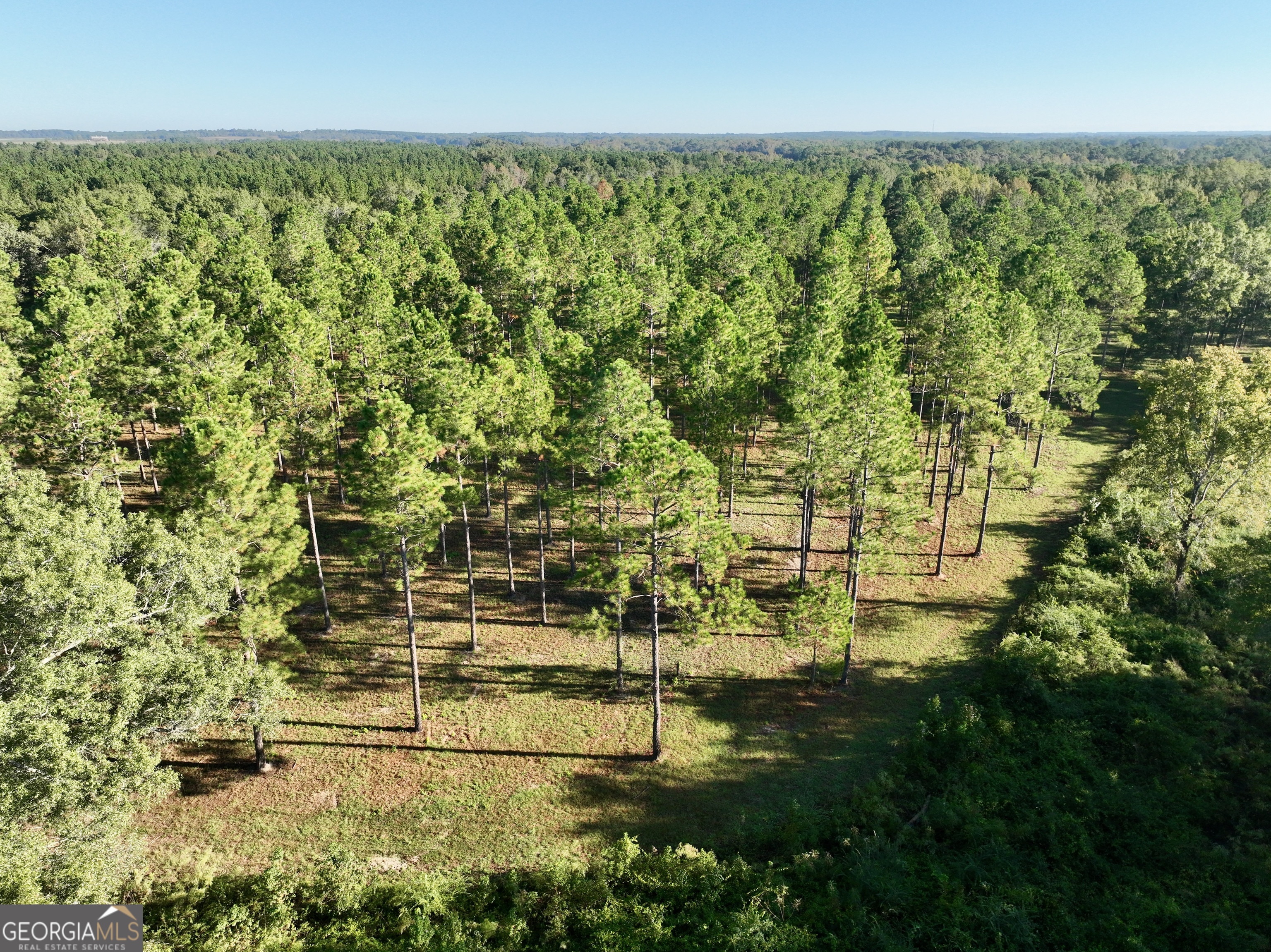0 Lower River Road Eastman, GA 31023 - Photo 14 of 56 a view of lake view