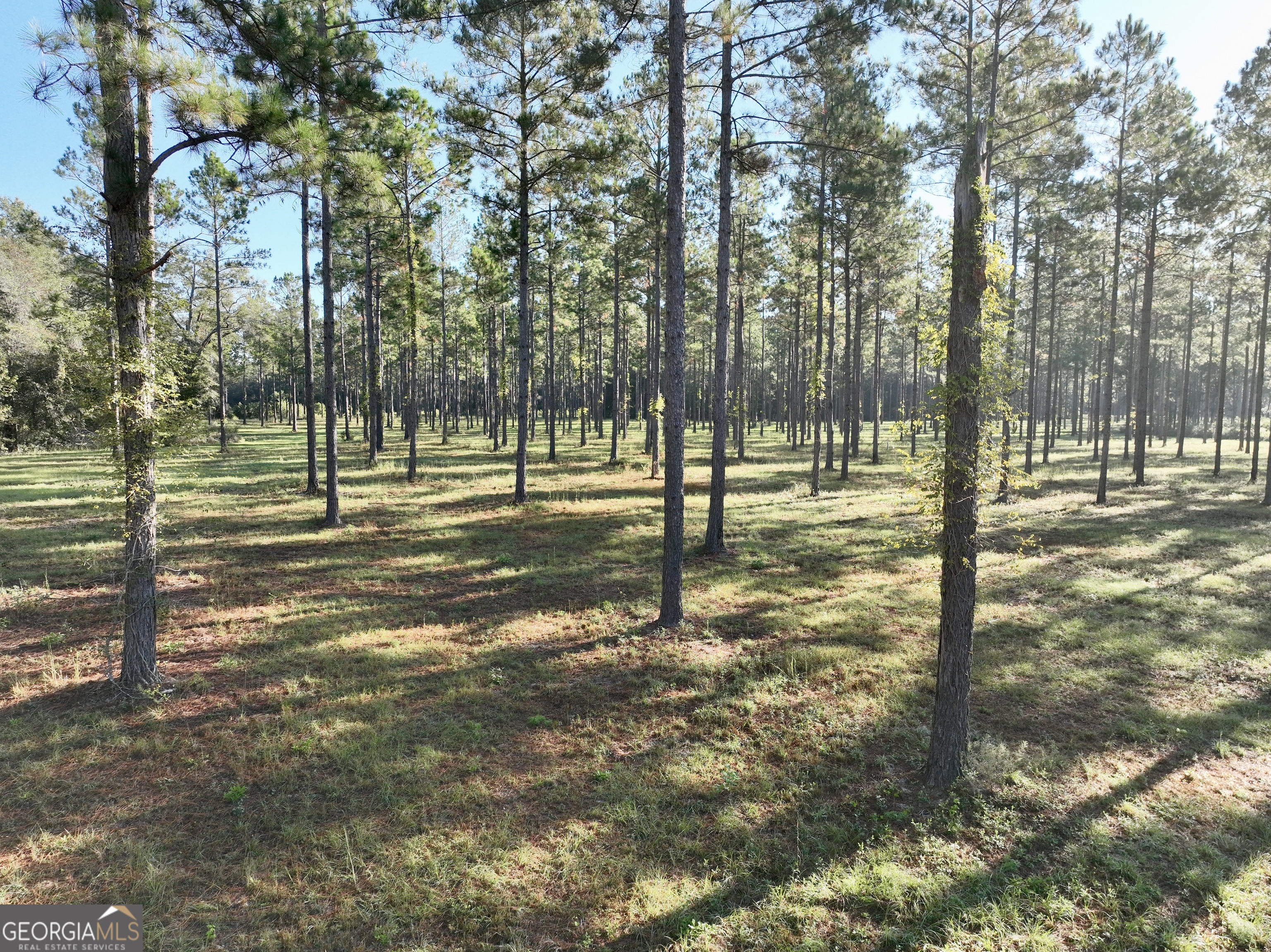 0 Lower River Road Eastman, GA 31023 - Photo 16 of 56 a view of pool with trees