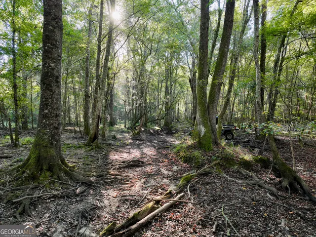 a swimming pool with trees in the background