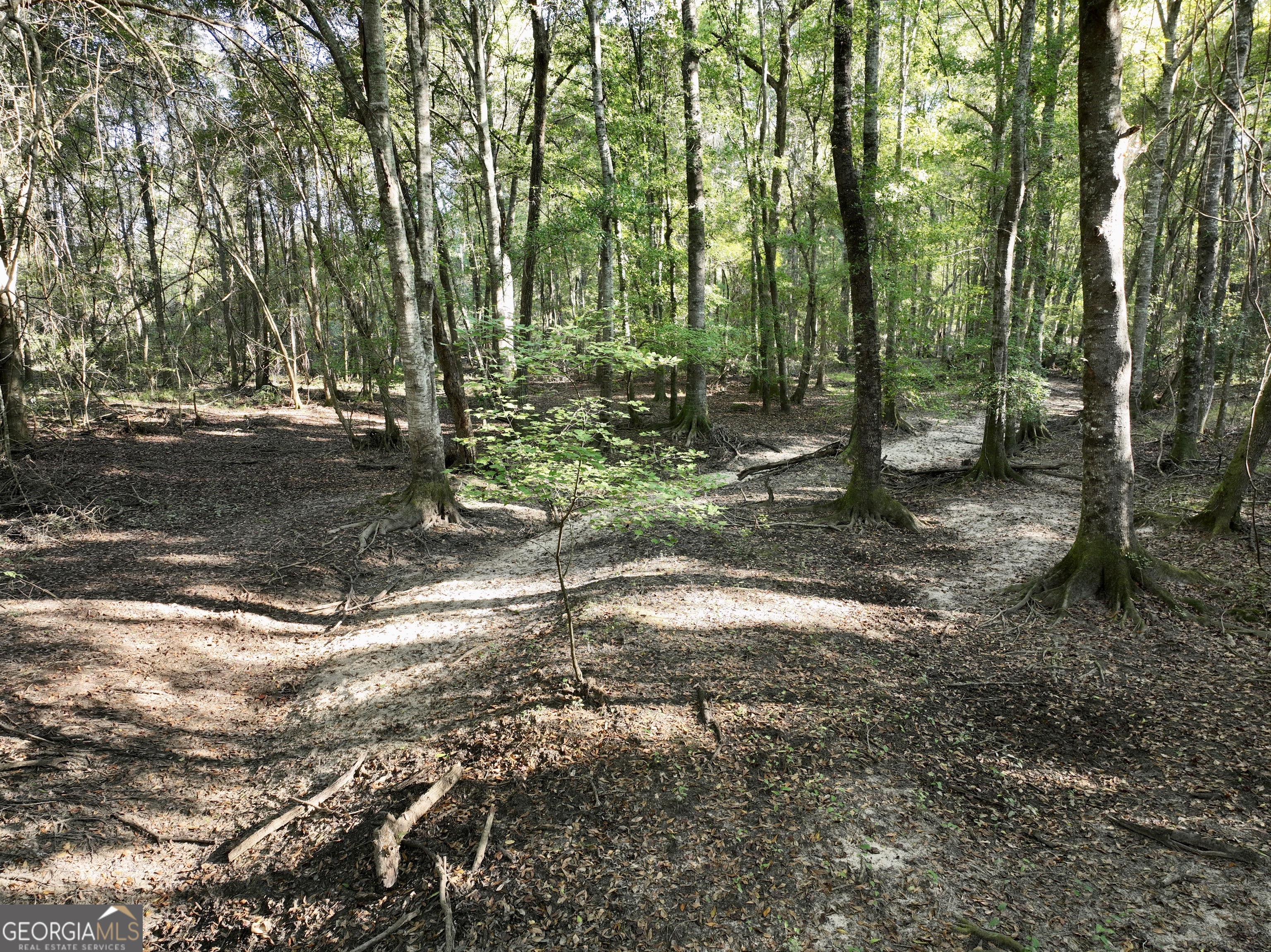 0 Lower River Road Eastman, GA 31023 - Photo 21 of 56 a backyard of a house with lots of green space