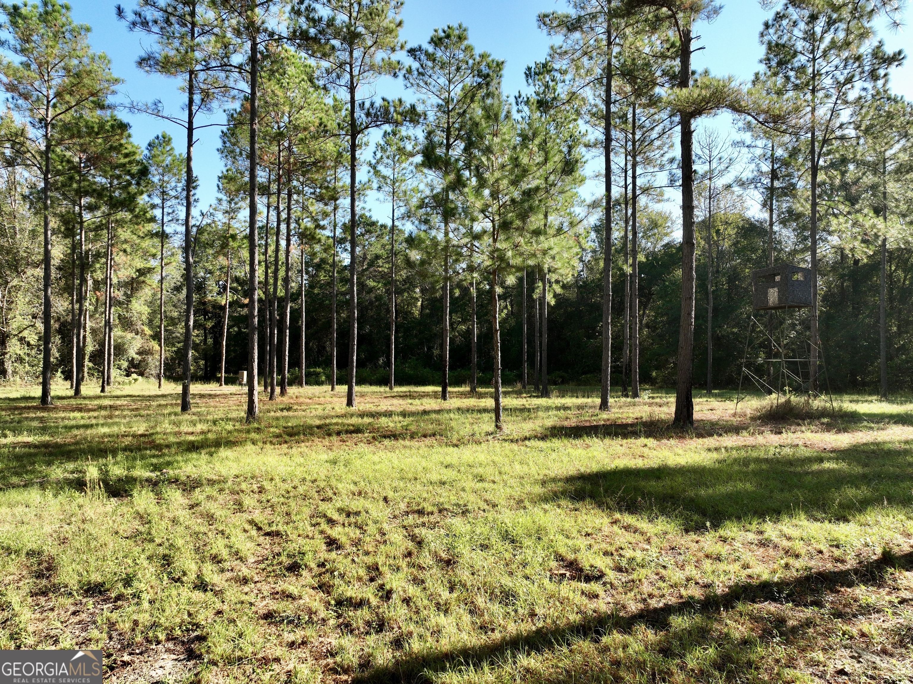 0 Lower River Road Eastman, GA 31023 - Photo 22 of 56 a swimming pool with trees in the background