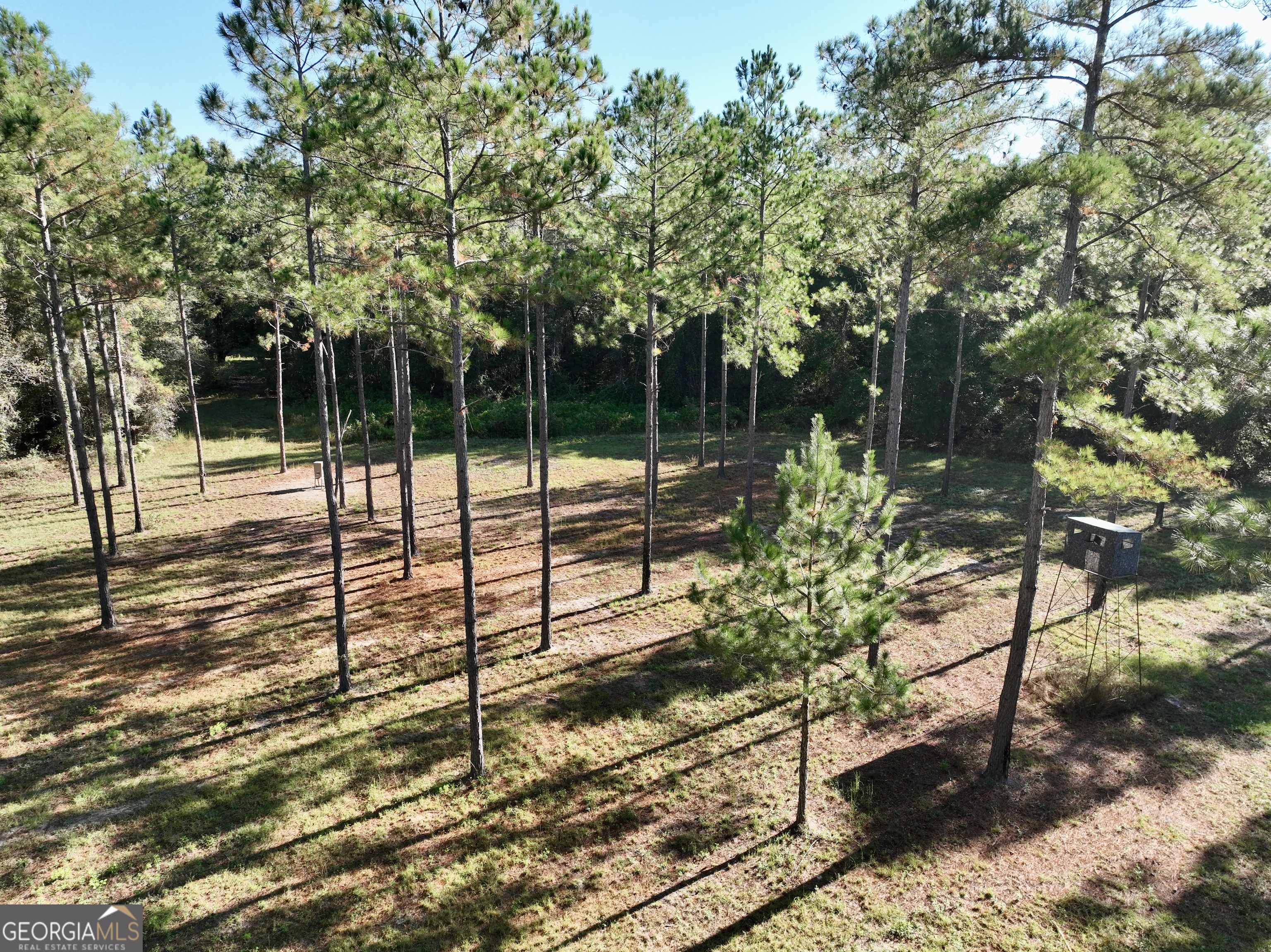 0 Lower River Road Eastman, GA 31023 - Photo 23 of 56