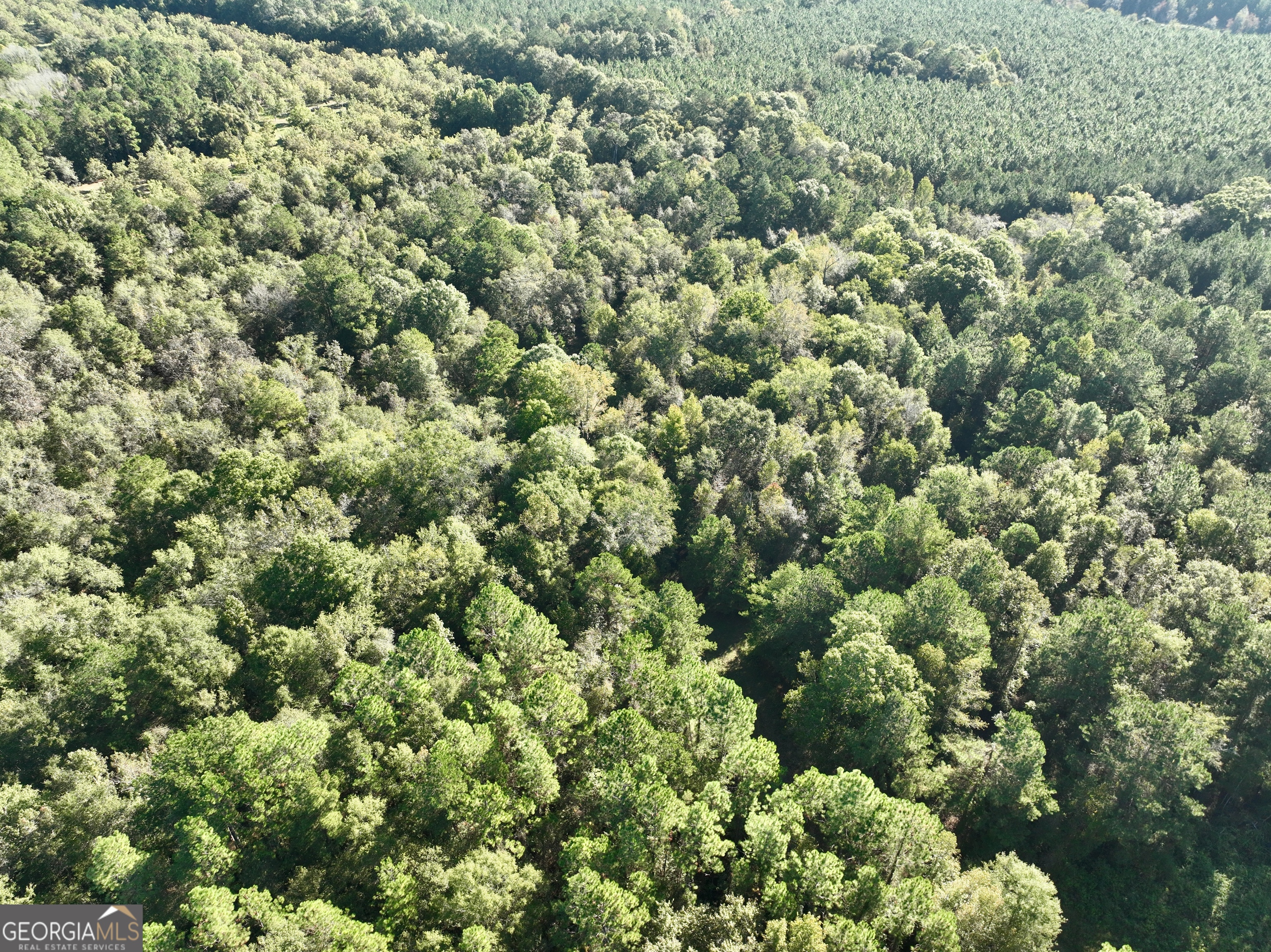 0 Lower River Road Eastman, GA 31023 - Photo 24 of 56