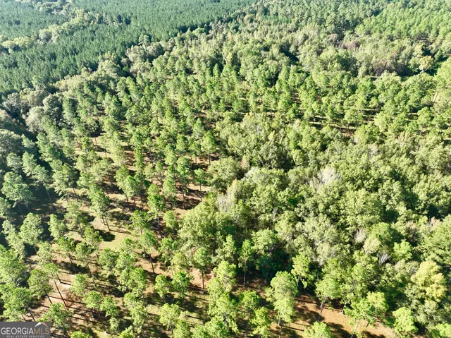 a view of backyard with green space