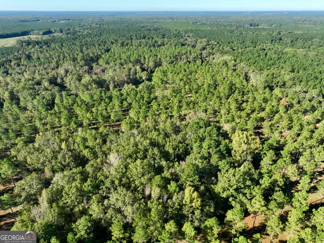 a view of outdoor space with trees