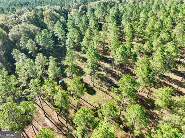 a view of park with trees