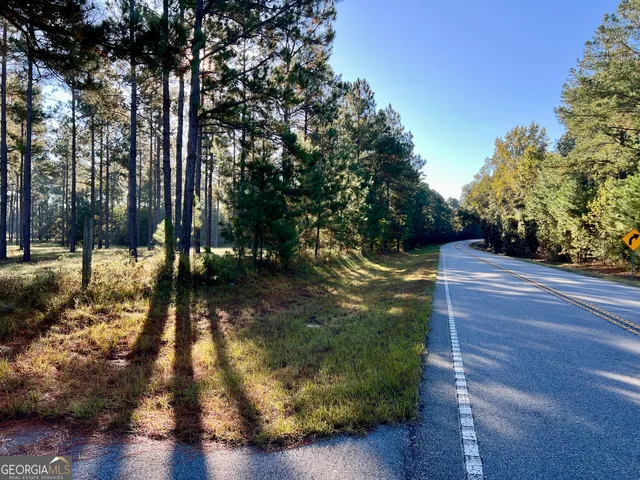 a view of a park with large trees