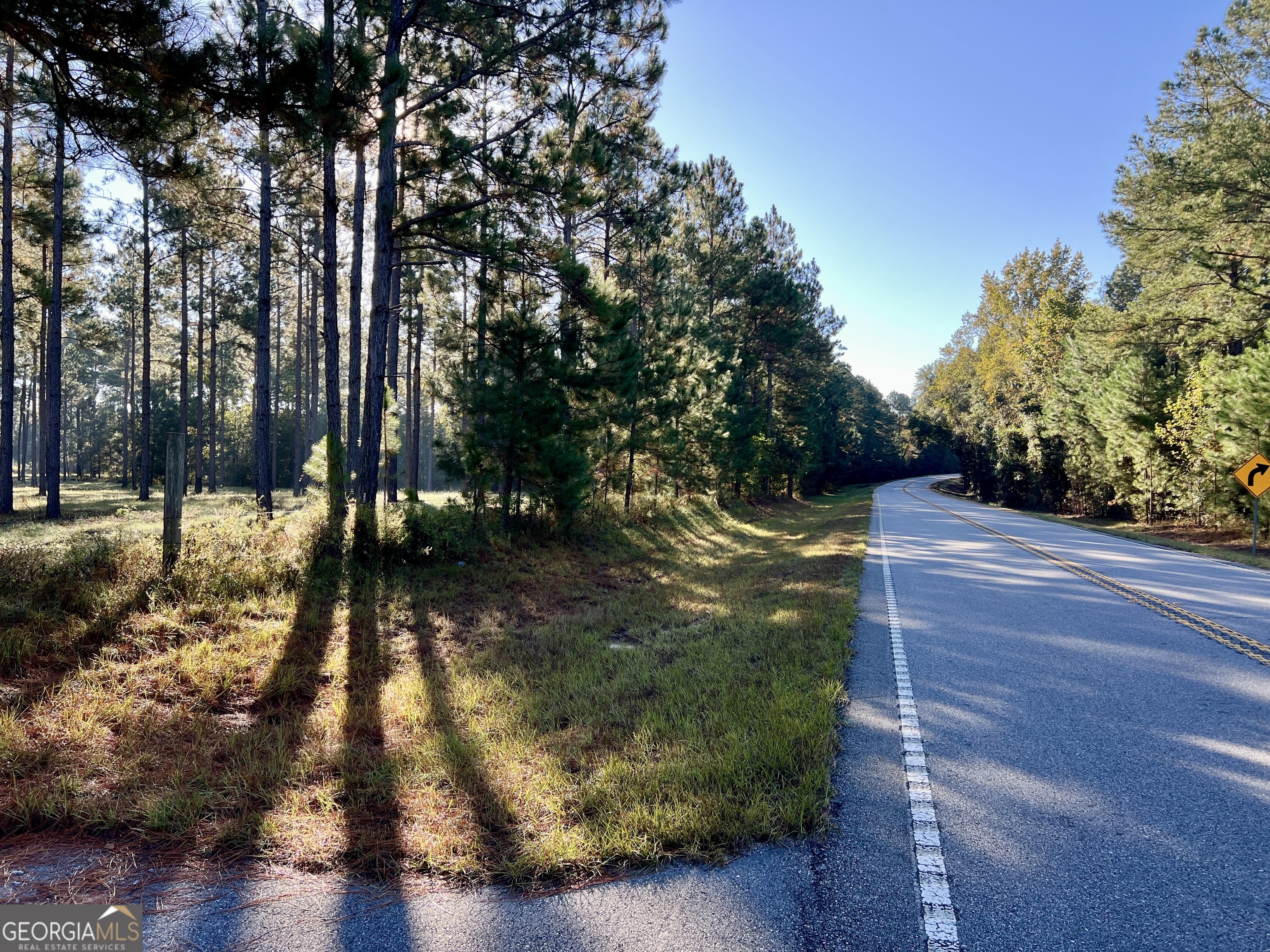0 Lower River Road Eastman, GA 31023 - Photo 28 of 56 a view of yard