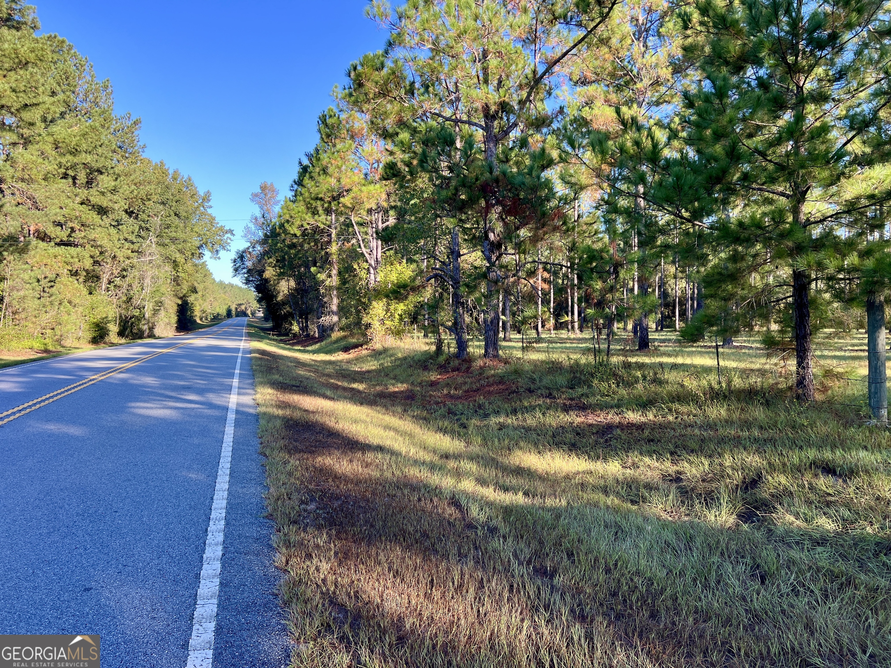 0 Lower River Road Eastman, GA 31023 - Photo 29 of 56 a view of backyard with green space