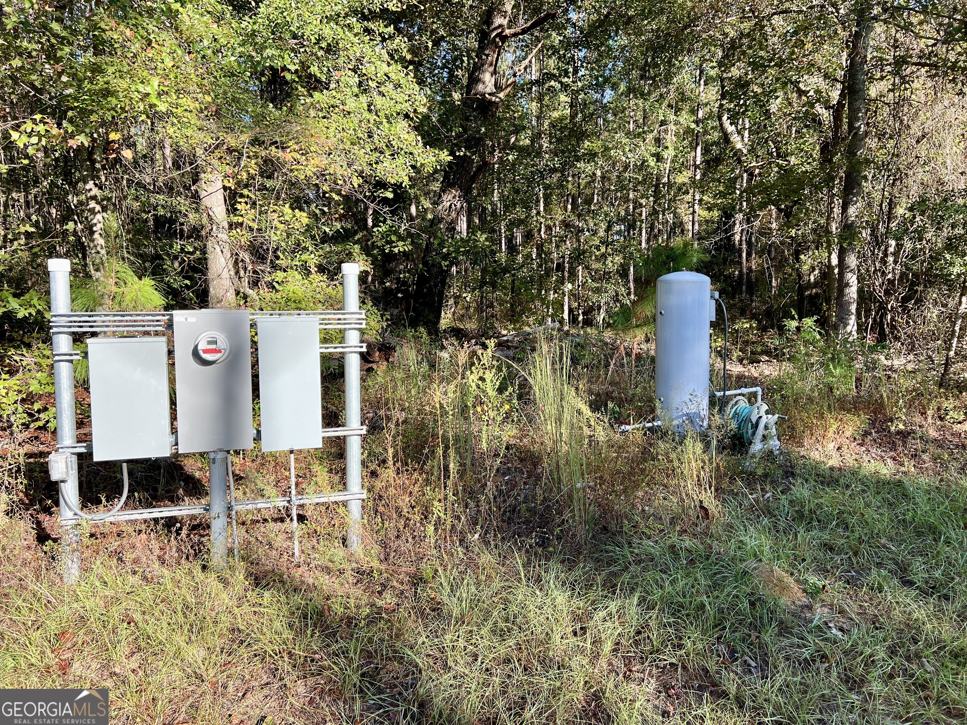 0 Lower River Road Eastman, GA 31023 - Photo 3 of 56