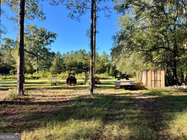 a view of a backyard with large trees