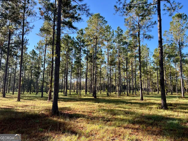 a view of a park with trees