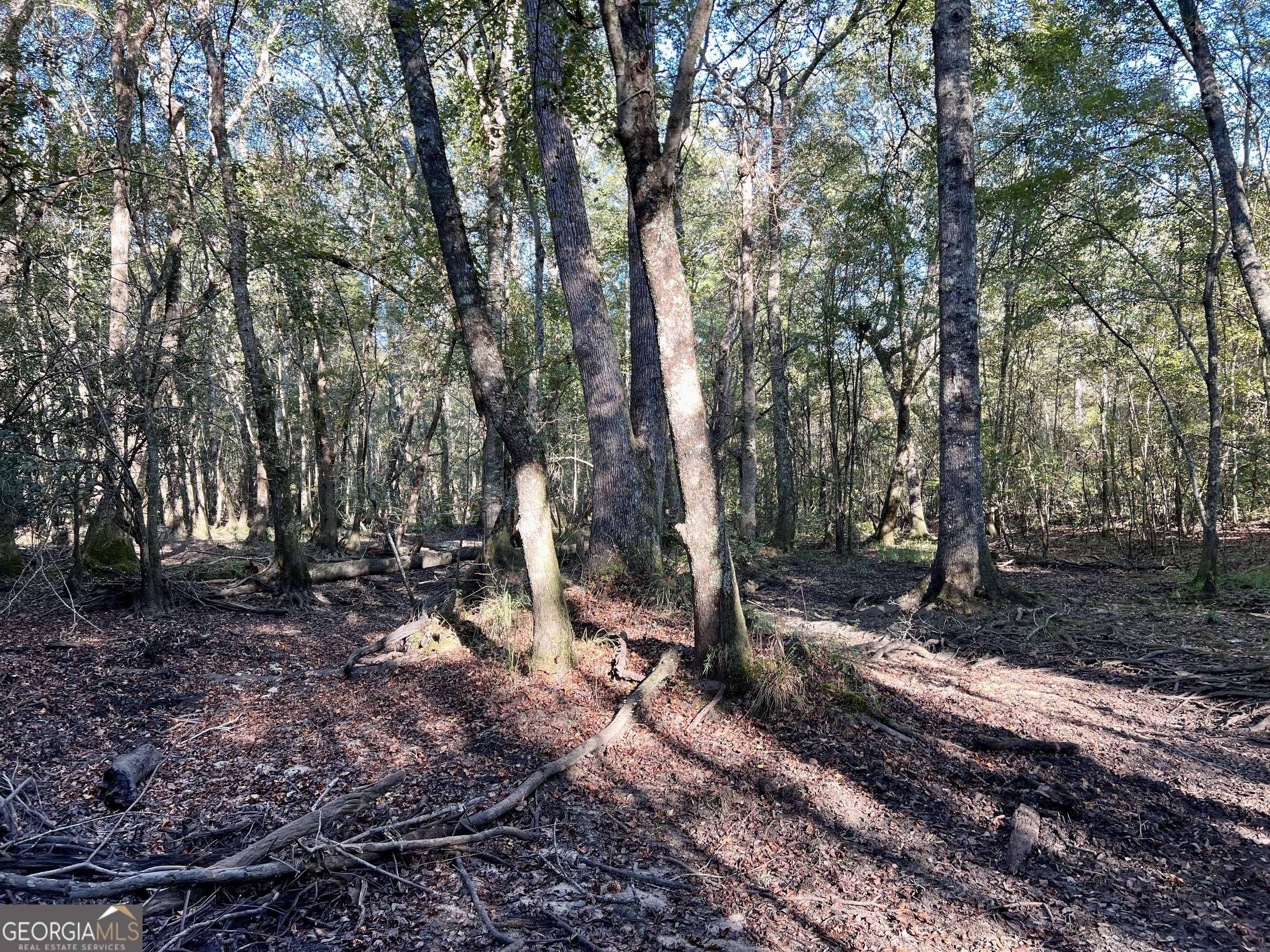 0 Lower River Road Eastman, GA 31023 - Photo 34 of 56 a backyard of a house with lots of green space
