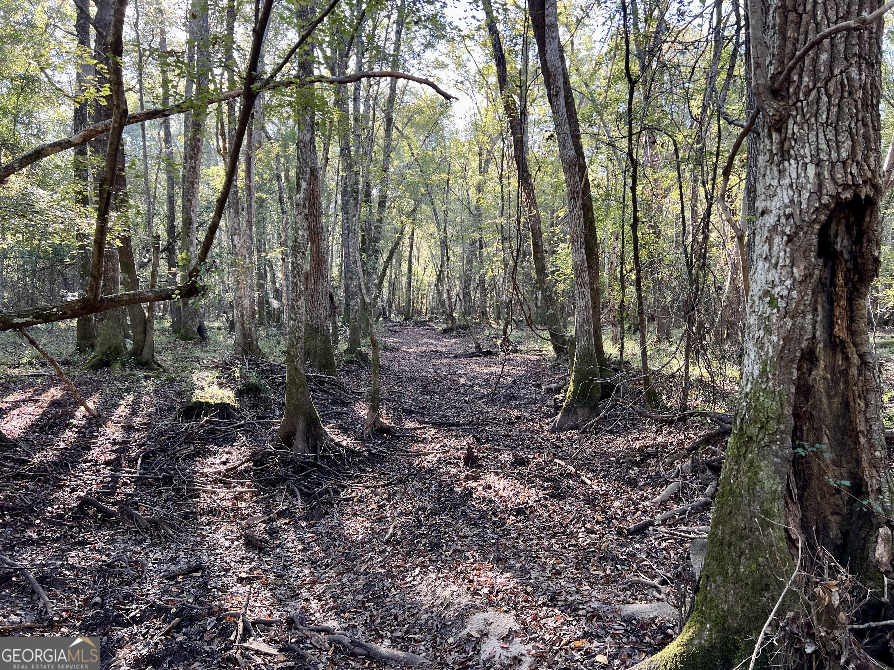 0 Lower River Road Eastman, GA 31023 - Photo 35 of 56 a backyard of a house with lots of green space