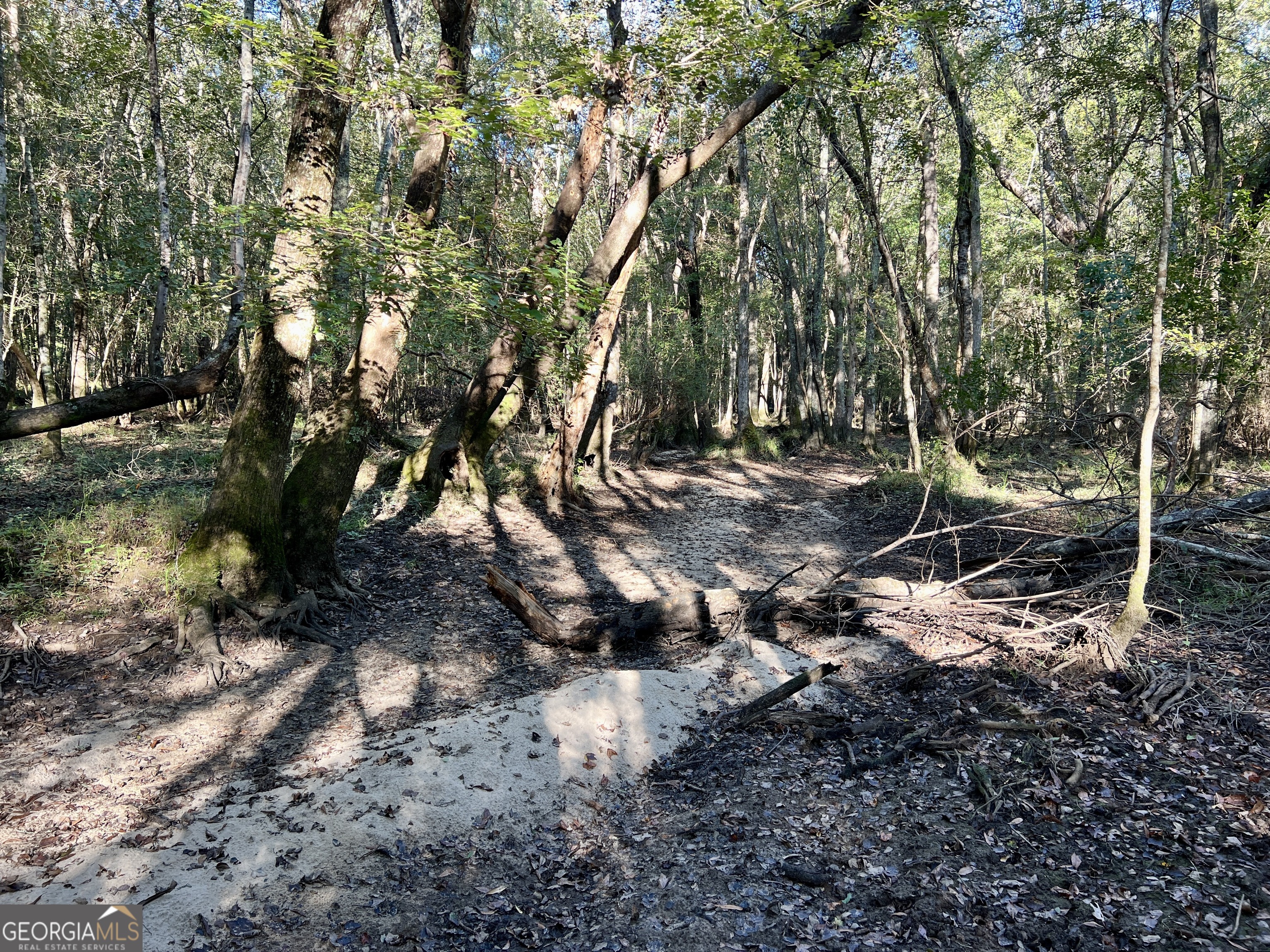 0 Lower River Road Eastman, GA 31023 - Photo 37 of 56