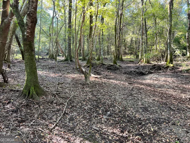 a view of outdoor space with lots of trees