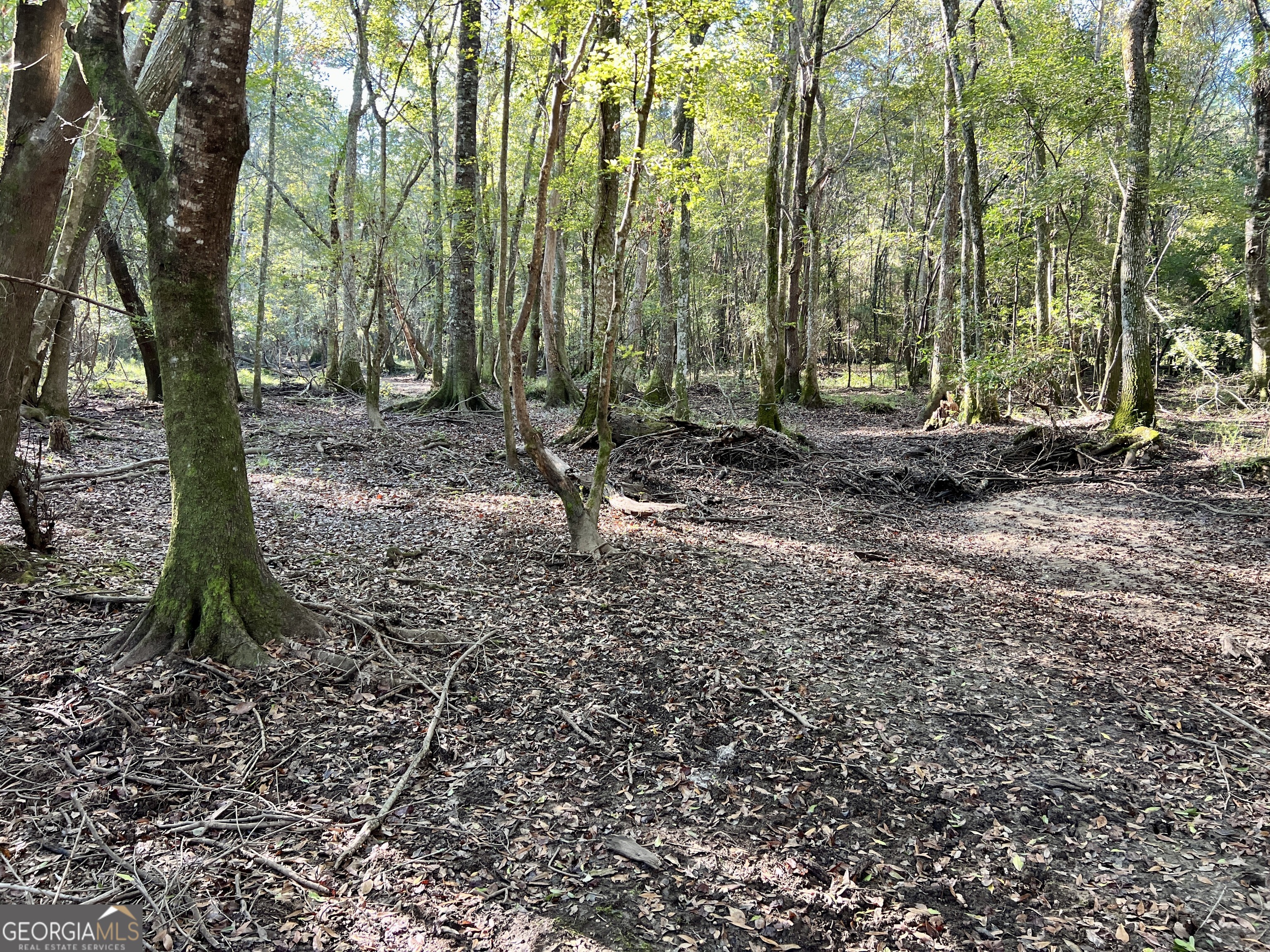 0 Lower River Road Eastman, GA 31023 - Photo 40 of 56 a view of outdoor space and trees