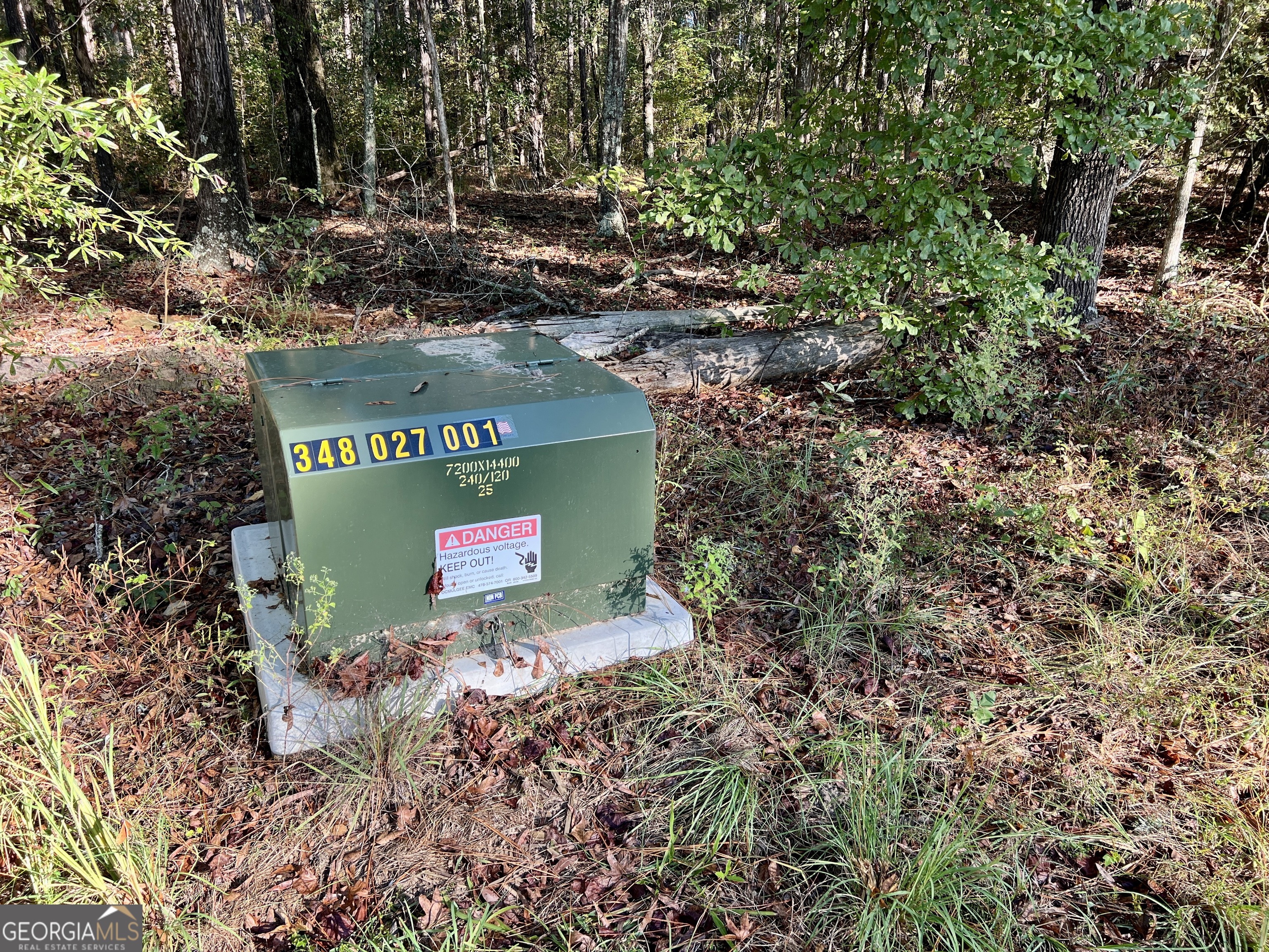 0 Lower River Road Eastman, GA 31023 - Photo 4 of 56 a sign that is sitting on a rock