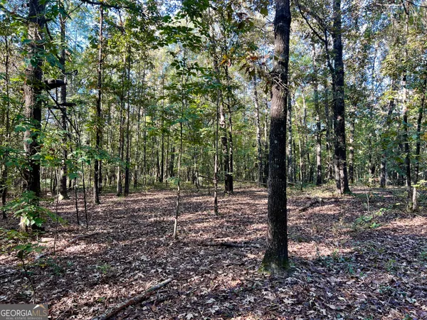 a view of outdoor space with trees