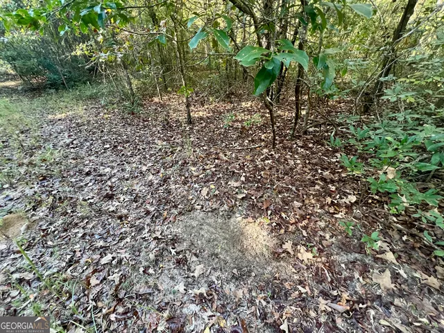a view of outdoor space with trees